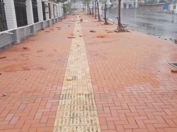 廣東湛江諶川大道